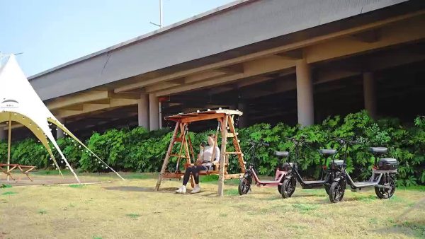 740W Adult Electric Scooter with Seat - Image 21