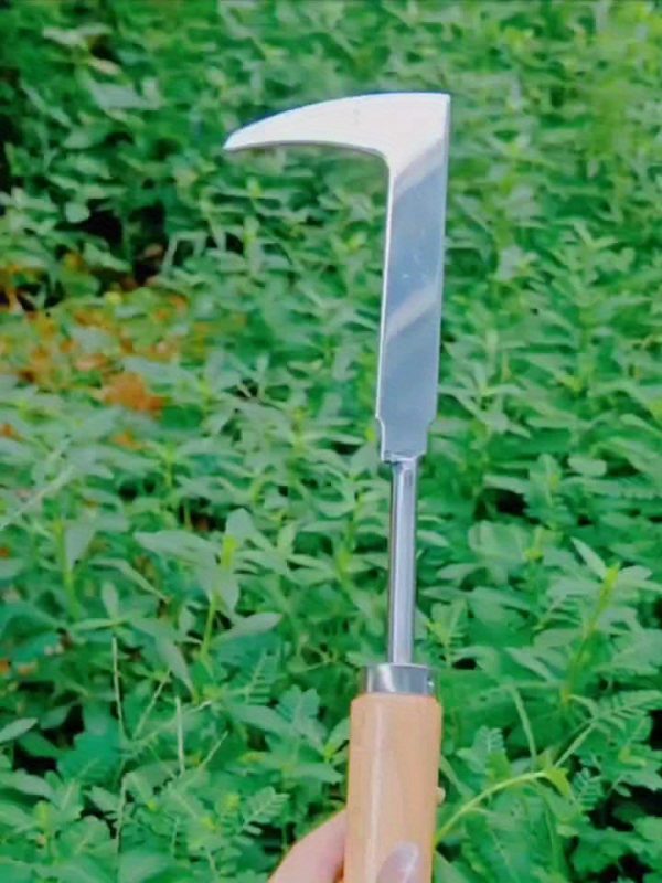 1pc of Stainless Steel Weeding Tool for Digging Wild Vegetables, Herbs, Bonsai, And Loosening Soil; a Perfect Gift for Holidays. - Image 7