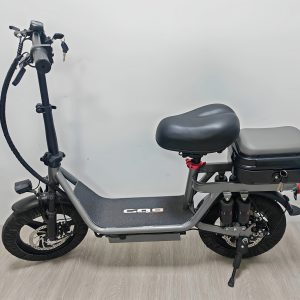 740W Adult Electric Scooter with Seat