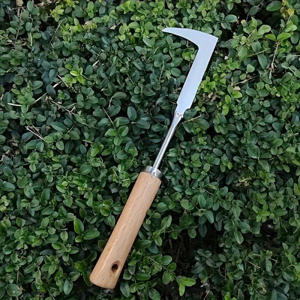 1pc of Stainless Steel Weeding Tool for Digging Wild Vegetables, Herbs, Bonsai, And Loosening Soil; a Perfect Gift for Holidays. - Image 2
